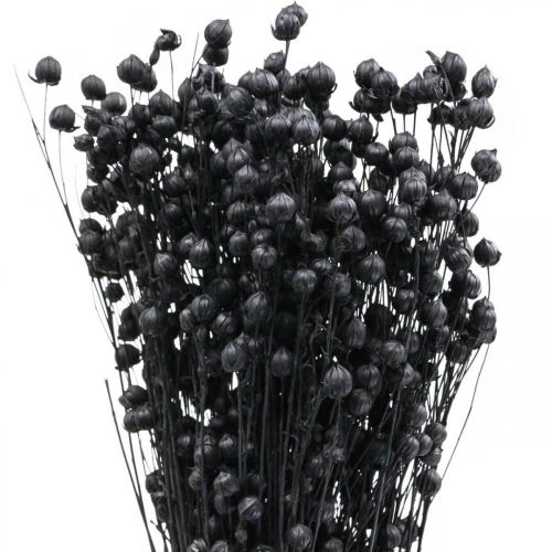 položky Sušená tráva sušený ľan čierny H50–55cm 80g