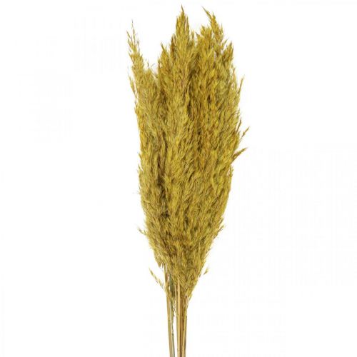 položky Ostrica tráva sušená deko sušená žltá 70cm 10ks
