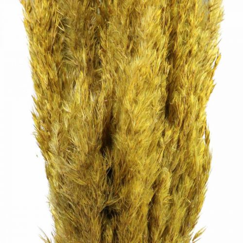 položky Ostrica tráva sušená deko sušená žltá 70cm 10ks