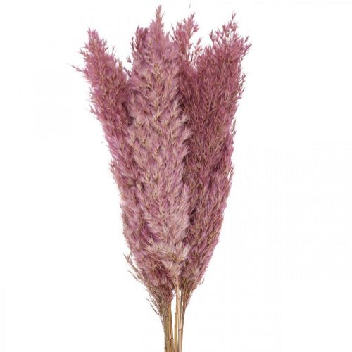 Floristik24 Sušená tráva Ostricová tráva sušená dekoračná tráva ružová 70cm 10 kusov