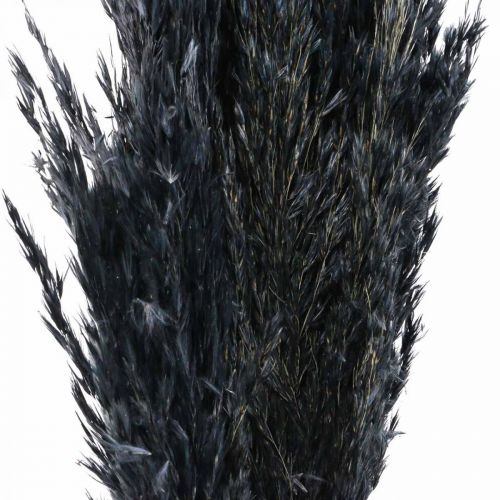 položky Sušená tráva Ostricová tráva sušená čierna dekoračná tráva 70cm 10 kusov