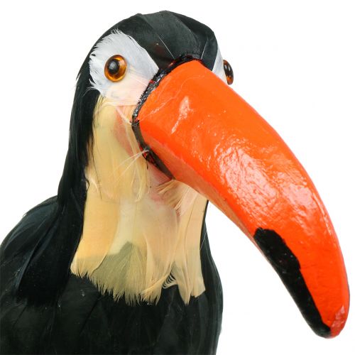 položky Deco tukan s pierkami čierny L37cm