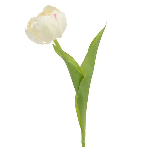 Floristik24 Tulipánový krém 37cm 6ks