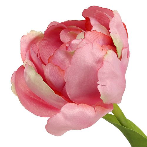položky Tulipán ružový 37cm 6ks