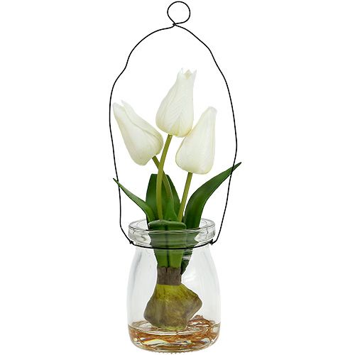 Floristik24 Tulipán biely v skle V21cm 1ks