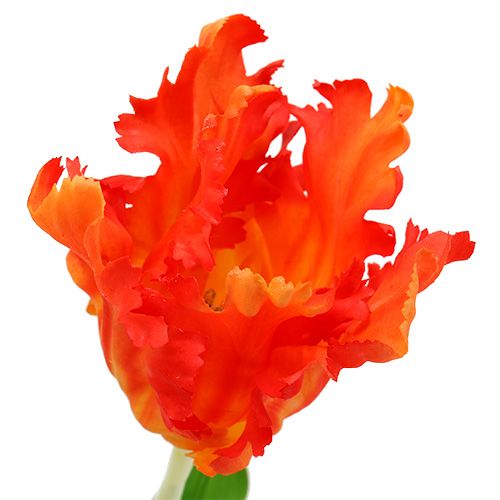 položky Oranžový tulipán 70 cm