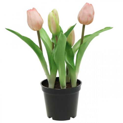 Floristik24 Tulipán ružový, zelený v črepníku Umelá črepníková rastlina dekoratívny tulipán V23cm