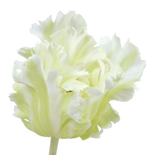 položky Tulipán biely umelý 70cm