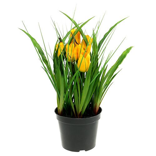 Floristik24 Tulipány v žltom črepníku 30cm