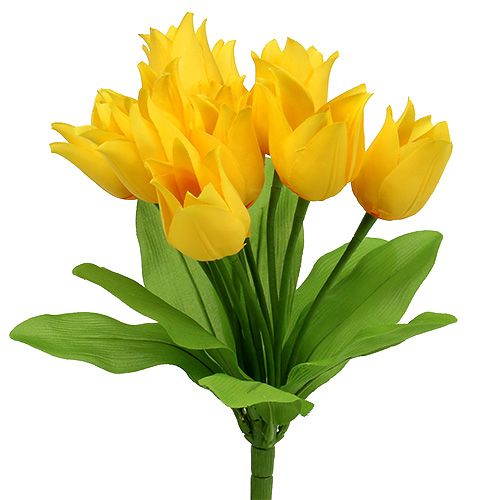 Floristik24 Tulipánový ker žltý, výška 30 cm
