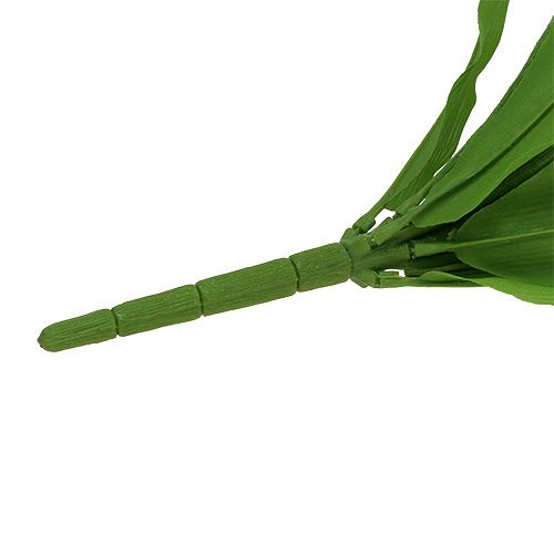 Floristik24 Tulipánový ker biely 30cm