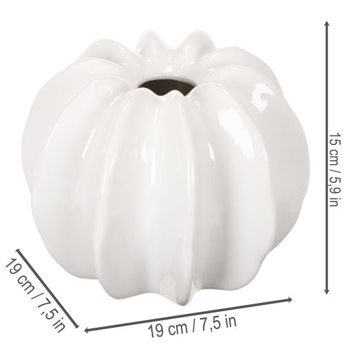 Dekoratívna váza s tekvicou, lesklá, jesenná dekorácia do obývačky, 19 cm | Floristik24.sk