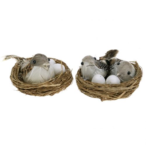 Floristik24 Vtáčie hniezdo s vajíčkami a vtáčikom 6ks