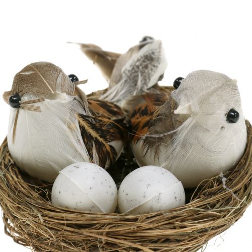 položky Vtáčie hniezdo s vajíčkami a vtáčikom 6ks