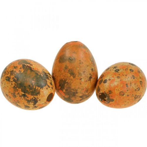 Floristik24 Prepeličie vajíčka dekorácia vyfúknuté vajíčka oranžová marhuľa 3cm 50ks
