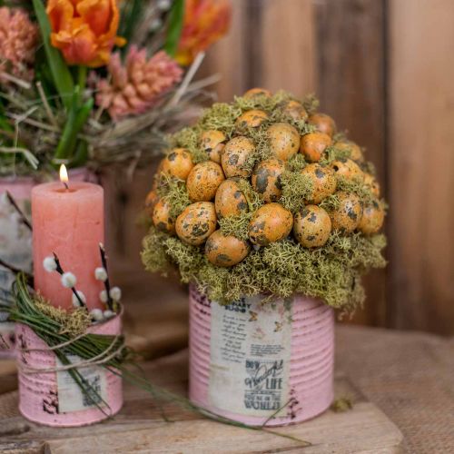 položky Prepeličie vajíčka dekorácia vyfúknuté vajíčka oranžová marhuľa 3cm 50 ks