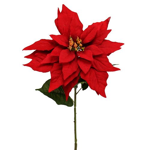 Floristik24 Vianočná hviezda červená 57cm 1ks
