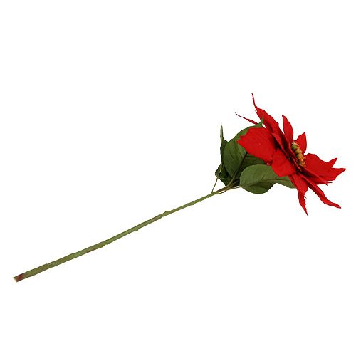 Floristik24 Vianočná hviezda červená 57cm 1ks