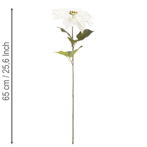 Umelá biela vianočná hviezda, dekorácia z veľkej kvitnúcej vetvičky, 65 cm, 2 kusy | Floristik24.sk