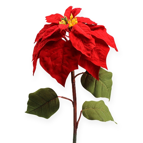 Floristik24 Vianočná hviezda červená 65 cm