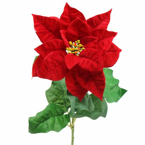 Floristik24 Poinsettia umelý kvet červený 67cm