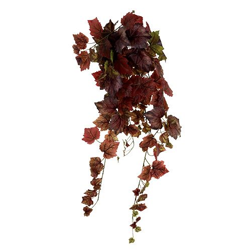 položky Vešiak na listy viniča zelený, tmavočervený 100cm