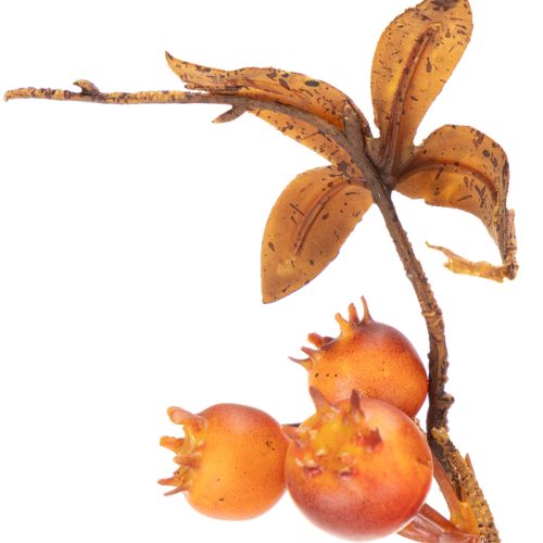 Umelá vetvička hlohu, jesenná dekorácia, 75 cm | Floristik24.sk