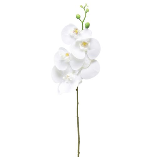 Floristik24 Biela umelá orchidea Phalaenopsis Real Touch 85 cm