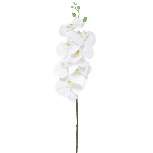 Floristik24 Biela umelá orchidea Phalaenopsis Real Touch H83cm