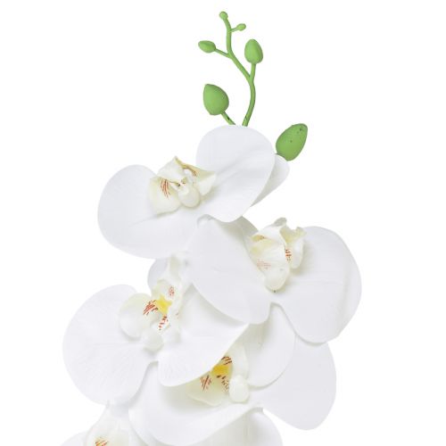 položky Umelá orchidea Phalaenopsis Real Touch, výška 83 cm