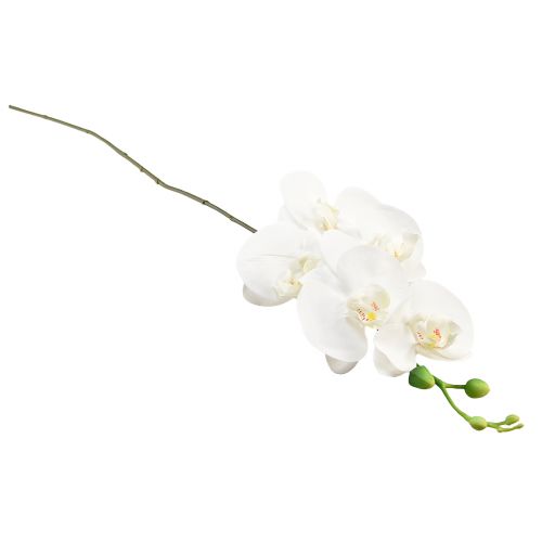 položky Umelá orchidea Phalaenopsis Real Touch, výška 83 cm