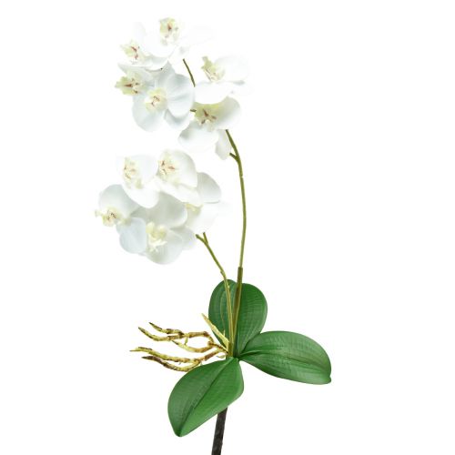 položky Biela orchidea na trsátko Umelá Phalaenopsis Real Touch 39 cm