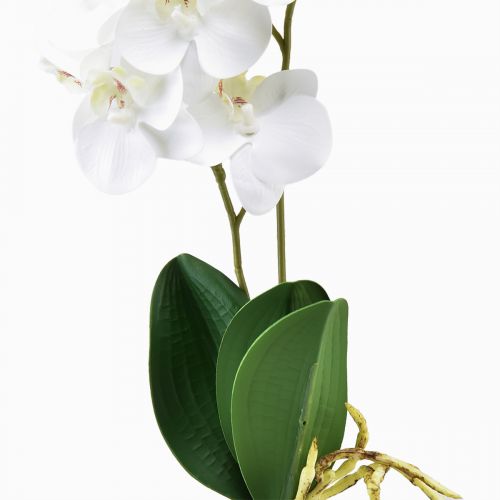 položky Biela orchidea na trsátko Umelá Phalaenopsis Real Touch 39 cm