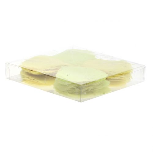 Floristik24 Vŕbové listy skeletonizované žlté mix 200 ks