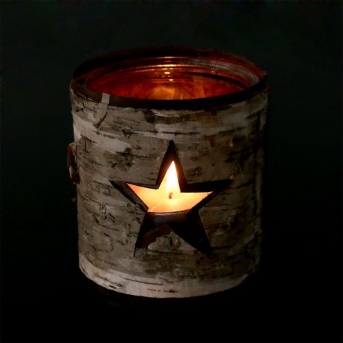 Floristik24 Lucerna hviezda s brezou Ø10,5cm V11cm 1ks