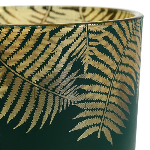 Floristik24 Lucerna Sklenená Papraď Zelená Ø10cm V12,5cm