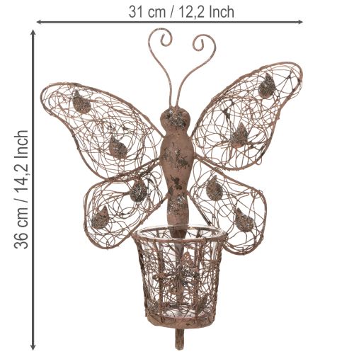 Kovový lampión, nástenná dekorácia, motýľ, hrdzavá úprava, 36,5 cm | Floristik24.sk