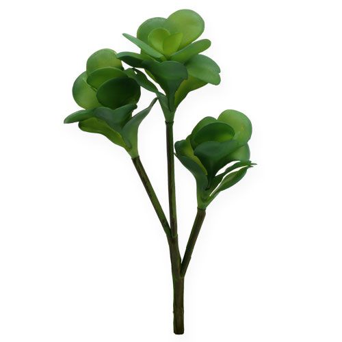 Floristik24 Umelé rastliny kapusta púštna zelená 25cm 3ks