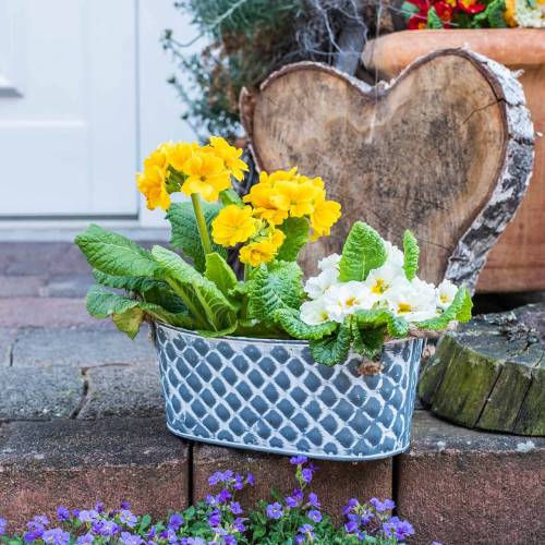 Floristik24 Zinková misa kosoštvorec s povrazovými rúčkami oválny 32cm H15cm