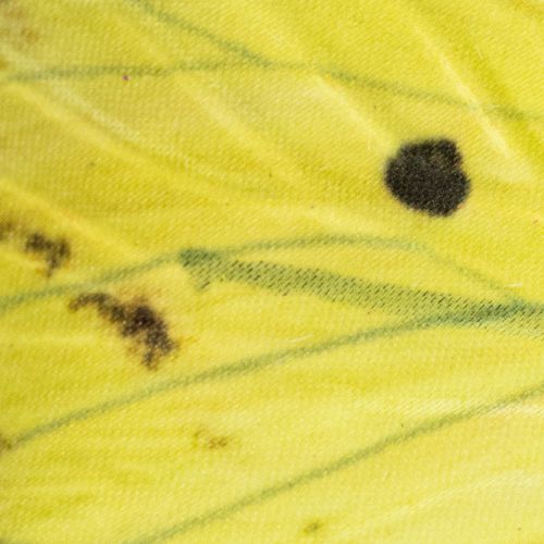 položky Motýlia vetvička, umelecká jarná dekorácia do interiéru, 75 cm