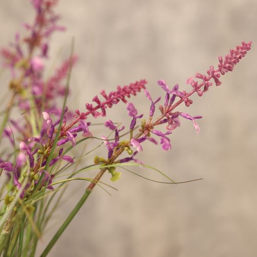 položky Dekoratívna zeleň s jemnými kvetmi pre štýlový dizajn miestnosti 67 cm