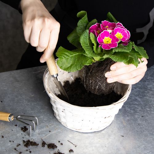 položky Prútený kôš na dekoráciu pre všestranný interiérový dizajn, 20 cm, 8 kusov