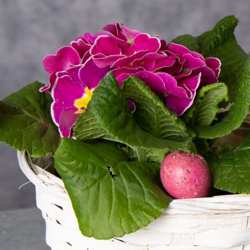 položky Prútený kôš na dekoráciu pre všestranný interiérový dizajn, 20 cm, 8 kusov