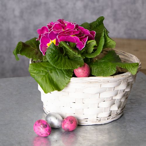 položky Prútený kôš na dekoráciu pre všestranný interiérový dizajn, 20 cm, 8 kusov