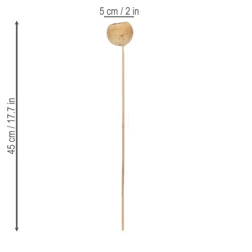 položky Zmes zvončekových pohárov na stonke, prírodné exotické odrody, 15 kusov