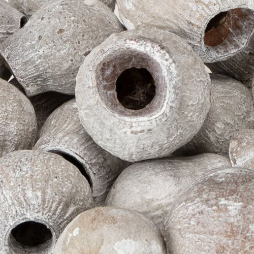 položky Bellgums bielené 2cm - 5cm 500g