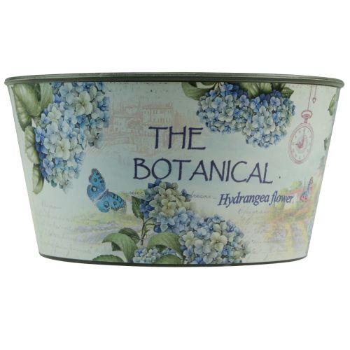 položky Kvetináč na kvetiny hortenzie okrúhly plastový Ø21cm V11cm