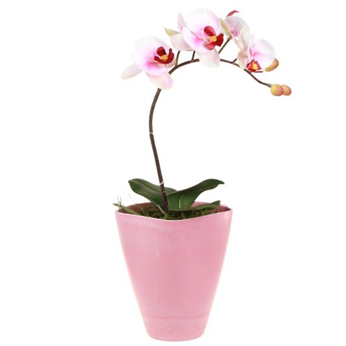 položky Kvetináč plastová váza kvetináč na orchideu ružový V16,5cm 4ks