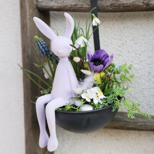 Floristik24 Dekoračná stierka miska na rastliny antracit závesná Ø16,5cm 2ks