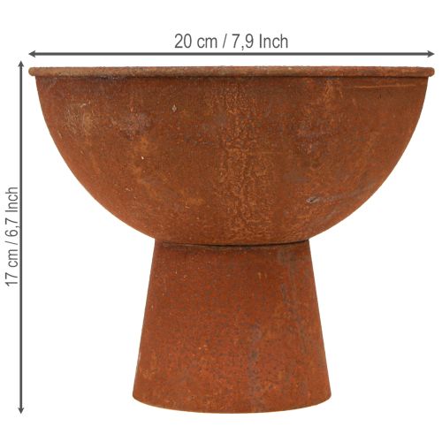 položky Dekoratívna misa s nohou, miska v tvare pohára, hrdzavý kov, Ø20,5 cm, 2 kusy
